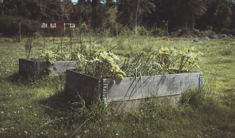 Folk Och Fae Grisslehamn Exterior foto
